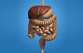 Dr. Patta Radhakrishna-Gastroenterology specialist