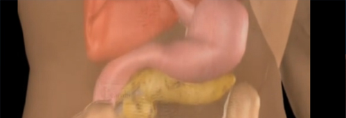 Dr. Patta Radhakrishna-Gastroenterology specialist